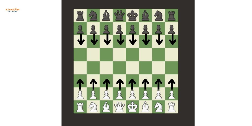 Pawn Possible moves