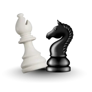 rook and knight