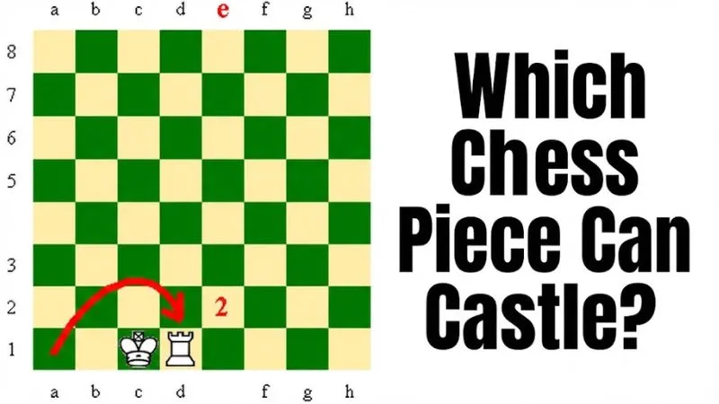 Which chess piece can castle